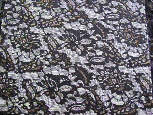 Tissu en nylon métallique de dentelle écologique pour le noir CY-LW0219 d'habillement