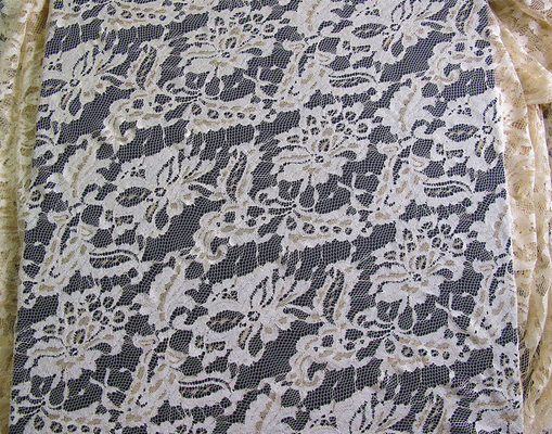 Tissu en nylon métallique de dentelle écologique pour le noir CY-LW0219 d'habillement
