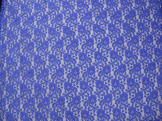 Mini floral de Digital de tissu en nylon bleu de dentelle pour Madame Dress