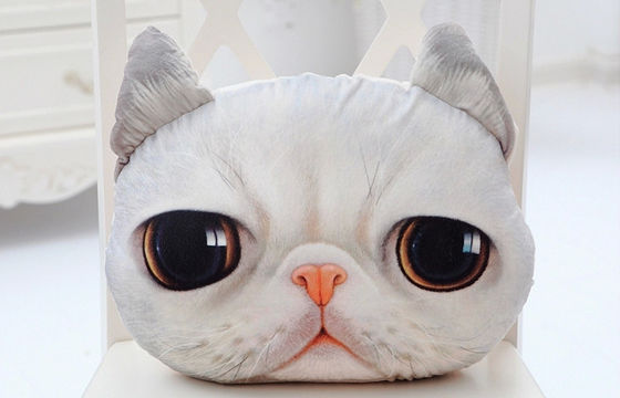 le doux de cadeaux de visage du chat 3D a bourré l'oreiller de peluche, oreillers décoratifs pour le divan